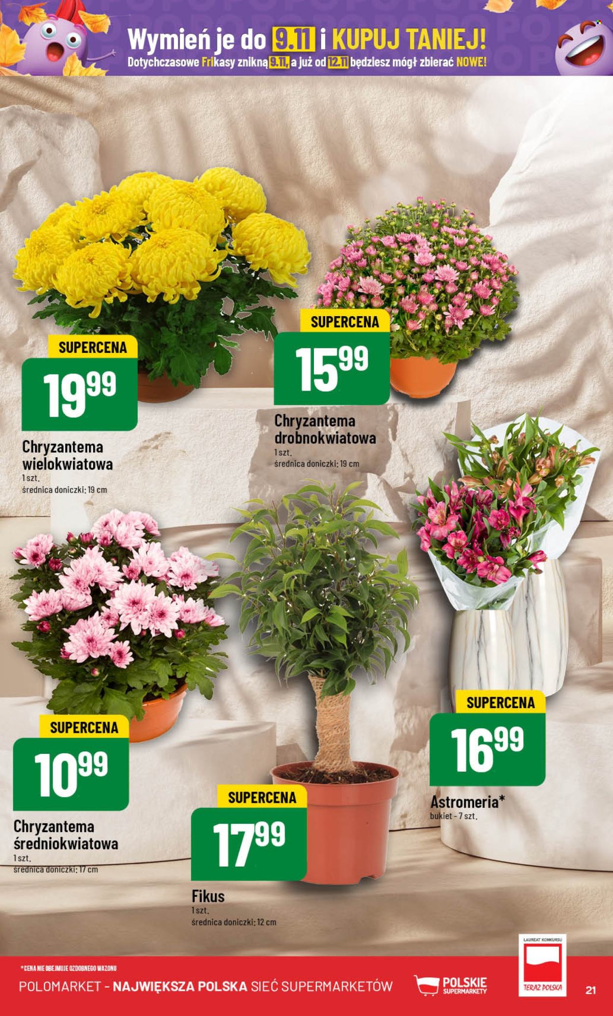 Gazetka Polomarket - 30.10.2024 - 5.11.2024. Strona 21