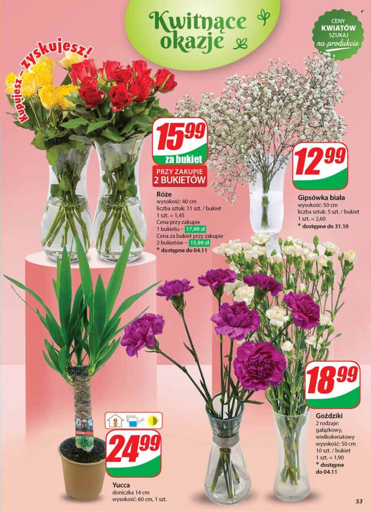 Gazetka Dino - 30.10.2024 - 5.11.2024. Strona 53