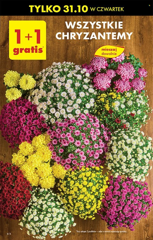 Gazetka Biedronka - 31.10.2024 - 6.11.2024. Strona 2