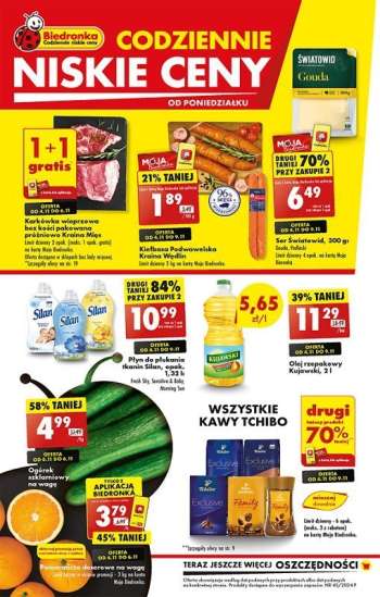 Gazetka Biedronka - 4.11.2024 - 9.11.2024.