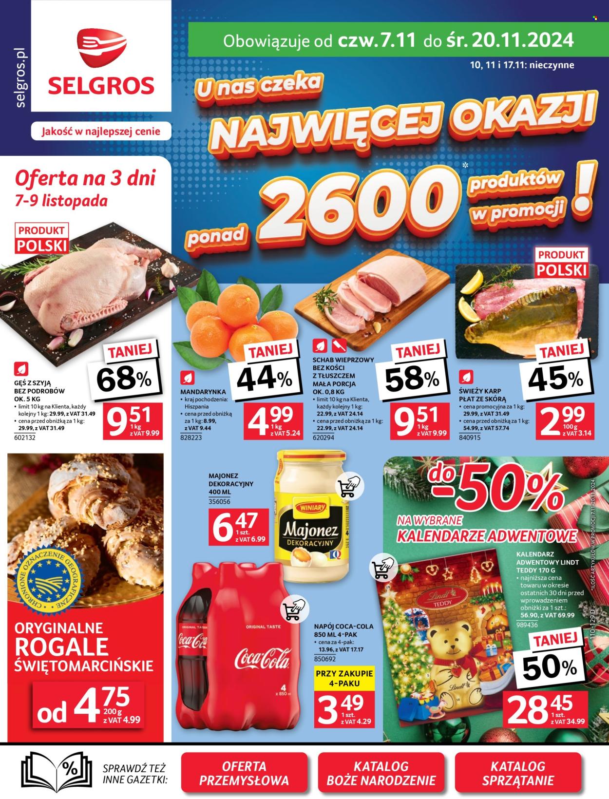 Gazetka Selgros - 7.11.2024 - 20.11.2024. Strona 1
