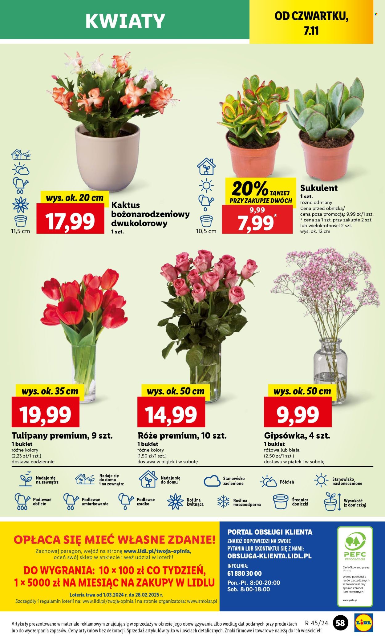 Gazetka Lidl - 7.11.2024 - 9.11.2024. Strona 61