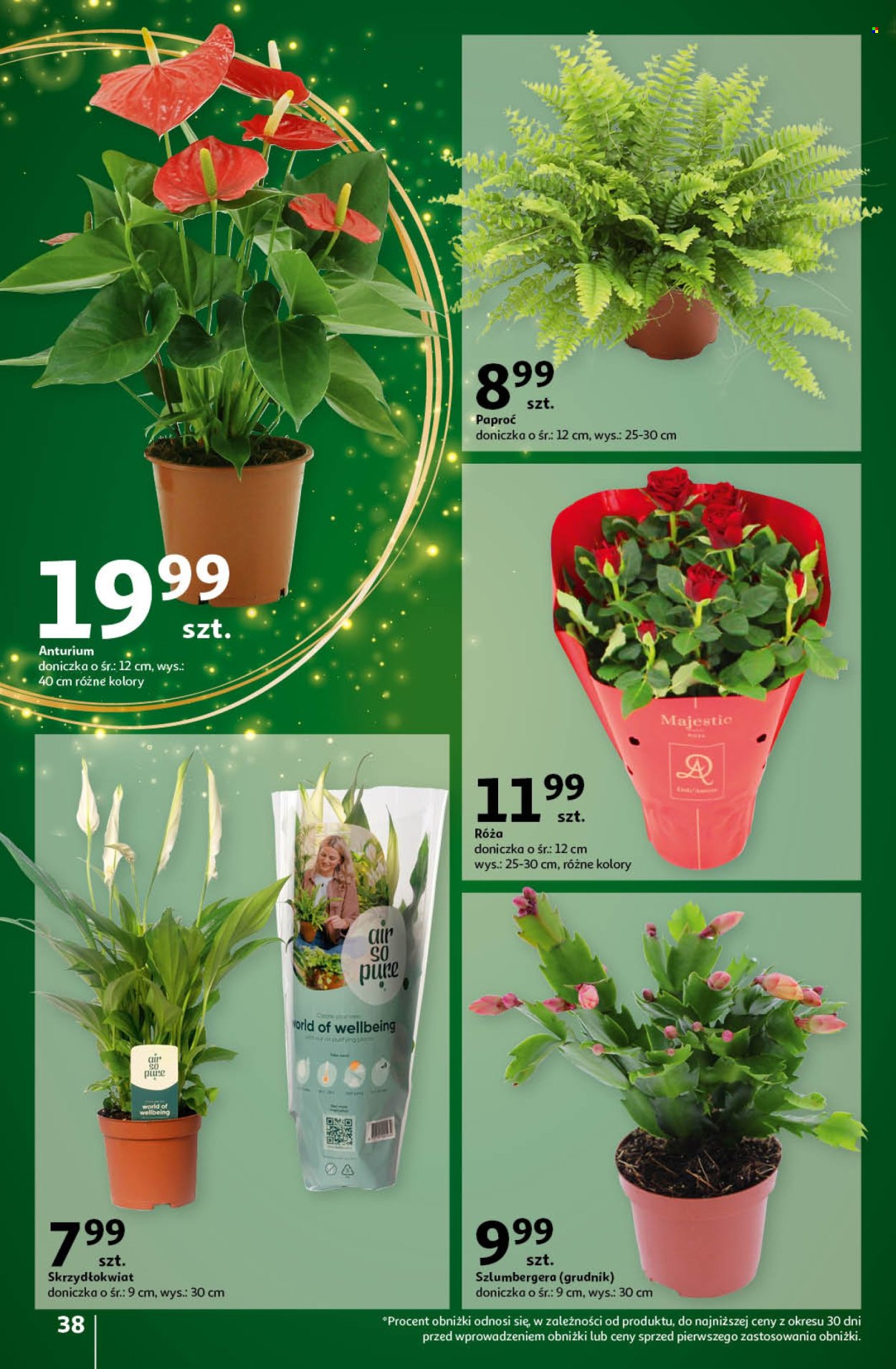 Gazetka Auchan - 14.11.2024 - 20.11.2024. Strona 40