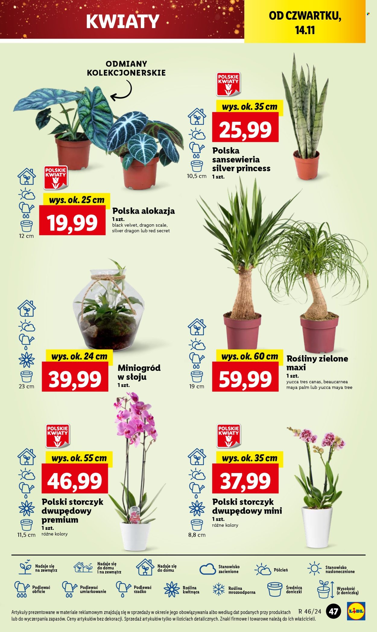 Gazetka Lidl - 14.11.2024 - 16.11.2024. Strona 53