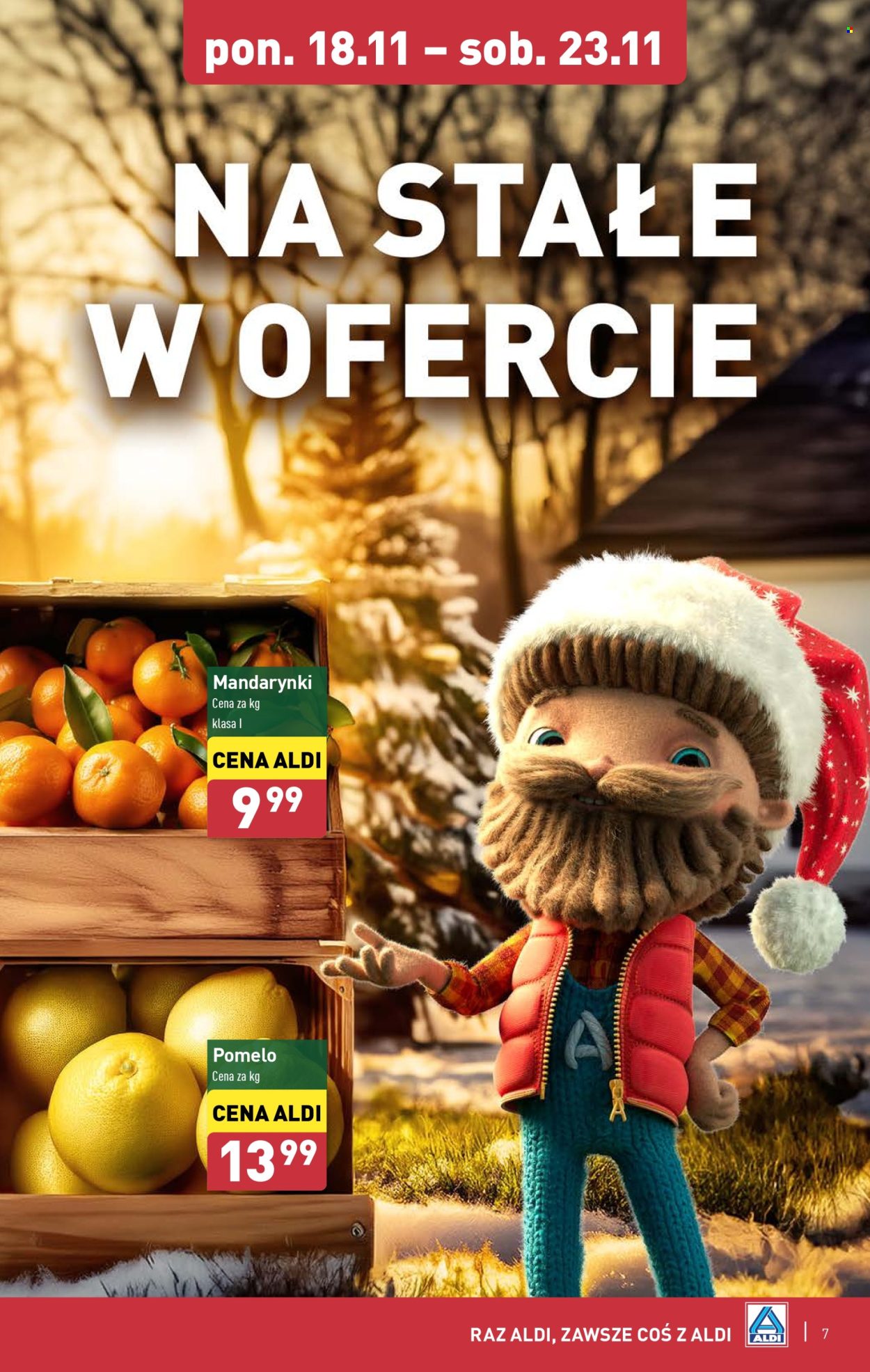Gazetka ALDI - 18.11.2024 - 23.11.2024. Strona 7