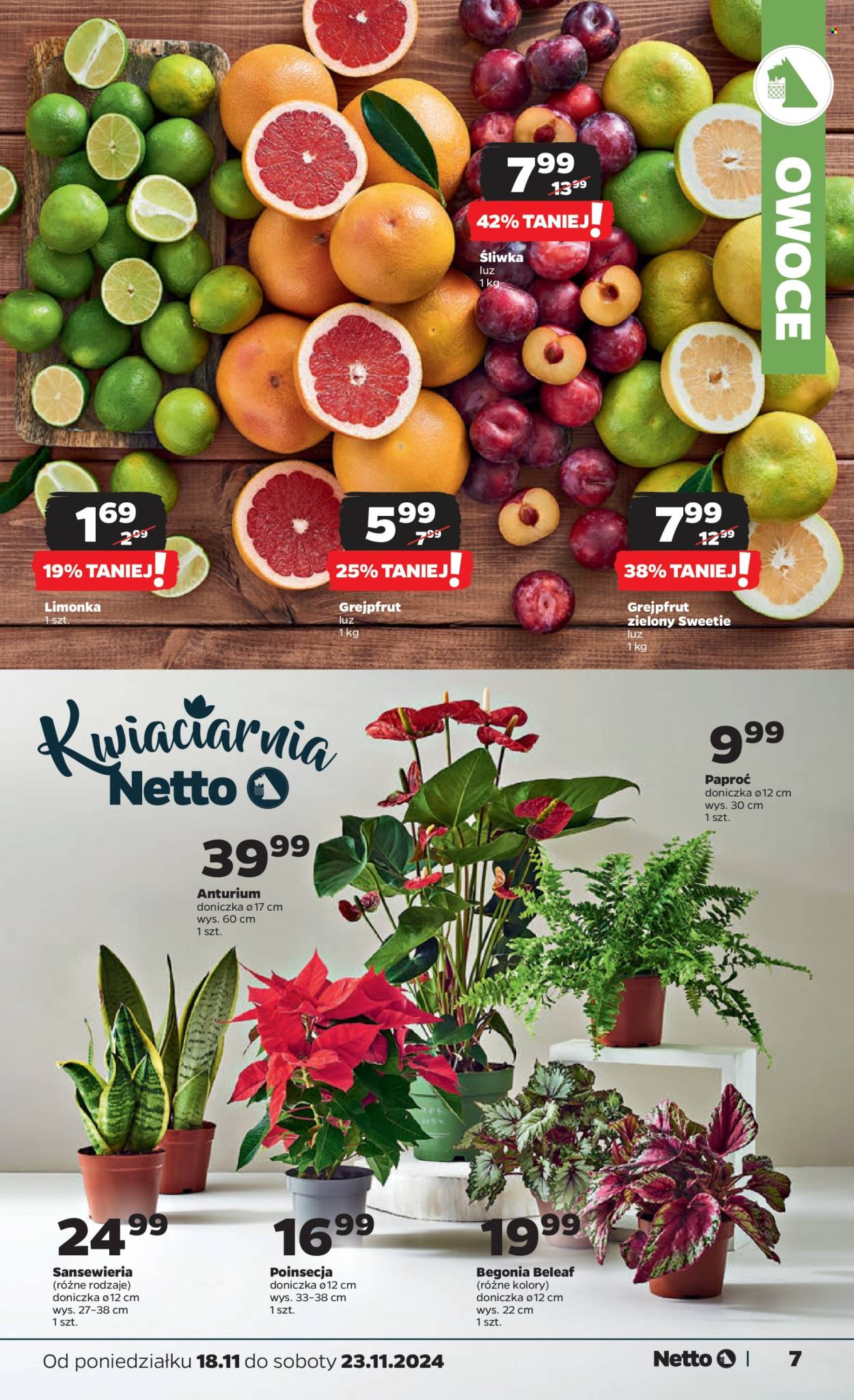 Gazetka Netto - 18.11.2024 - 23.11.2024. Strona 7