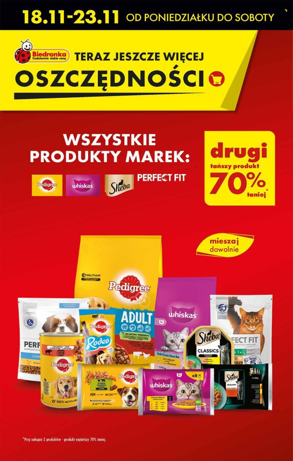 Gazetka Biedronka - 18.11.2024 - 23.11.2024. Strona 17