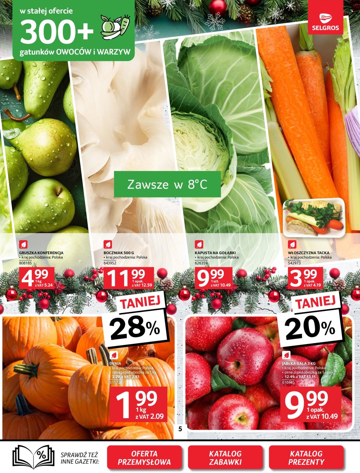 Gazetka Selgros - 21.11.2024 - 4.12.2024. Strona 5
