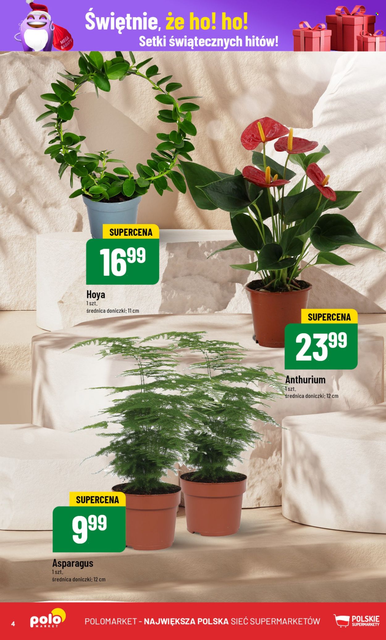 Gazetka Polomarket - 20.11.2024 - 26.11.2024. Strona 4