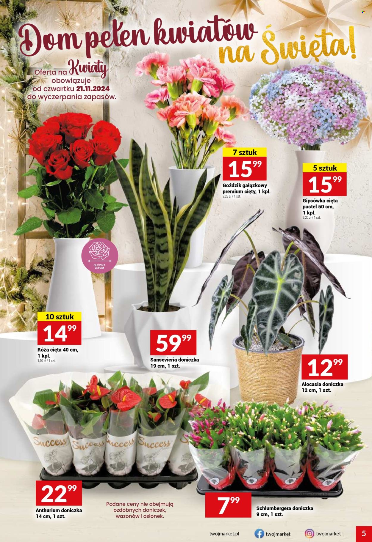 Gazetka Twój Market - 20.11.2024 - 26.11.2024. Strona 5