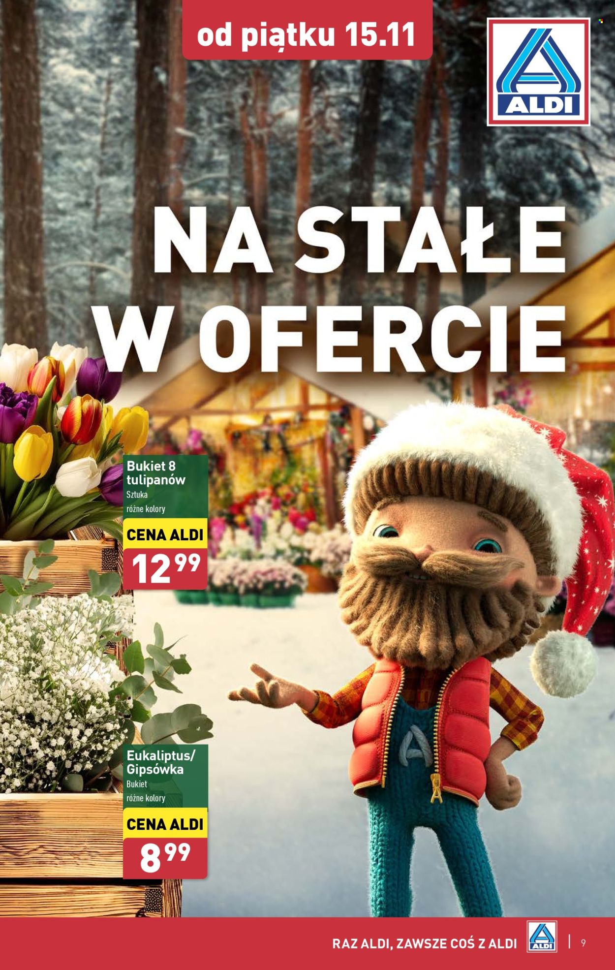 Gazetka ALDI - 25.11.2024 - 30.11.2024. Strona 9
