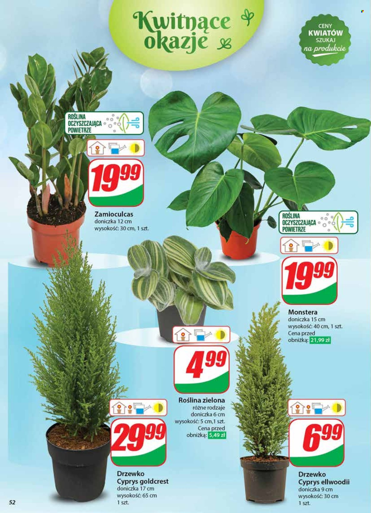 Gazetka Dino - 27.11.2024 - 3.12.2024. Strona 52