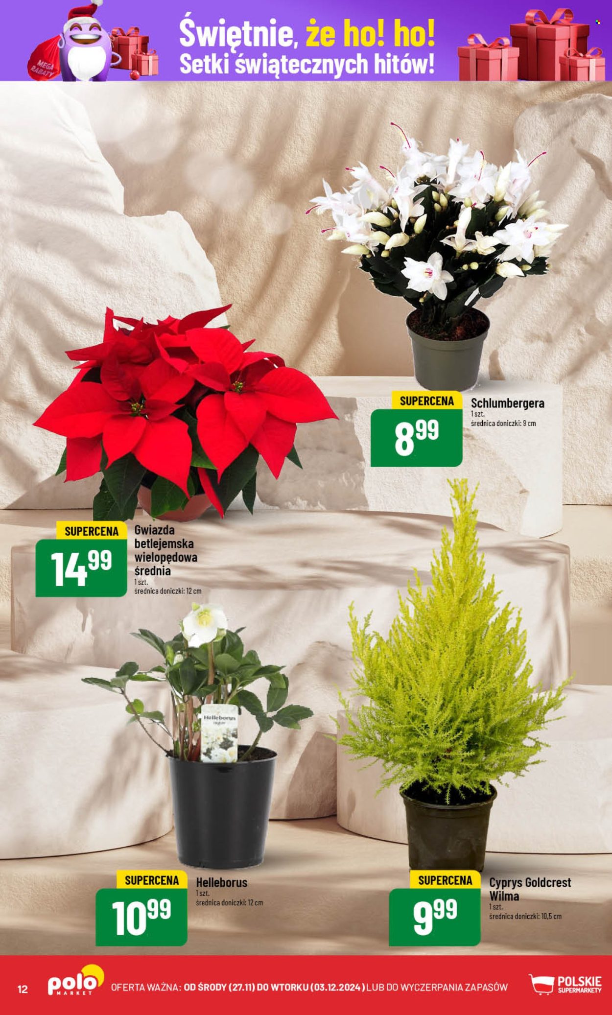 Gazetka Polomarket - 27.11.2024 - 3.12.2024. Strona 12