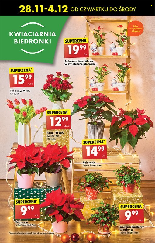 Gazetka Biedronka - 28.11.2024 - 4.12.2024. Strona 39