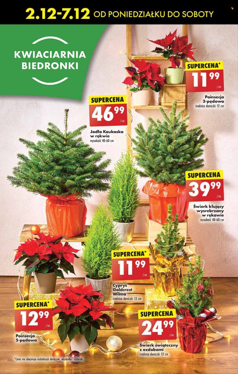 Gazetka Biedronka - 2.12.2024 - 7.12.2024. Strona 73