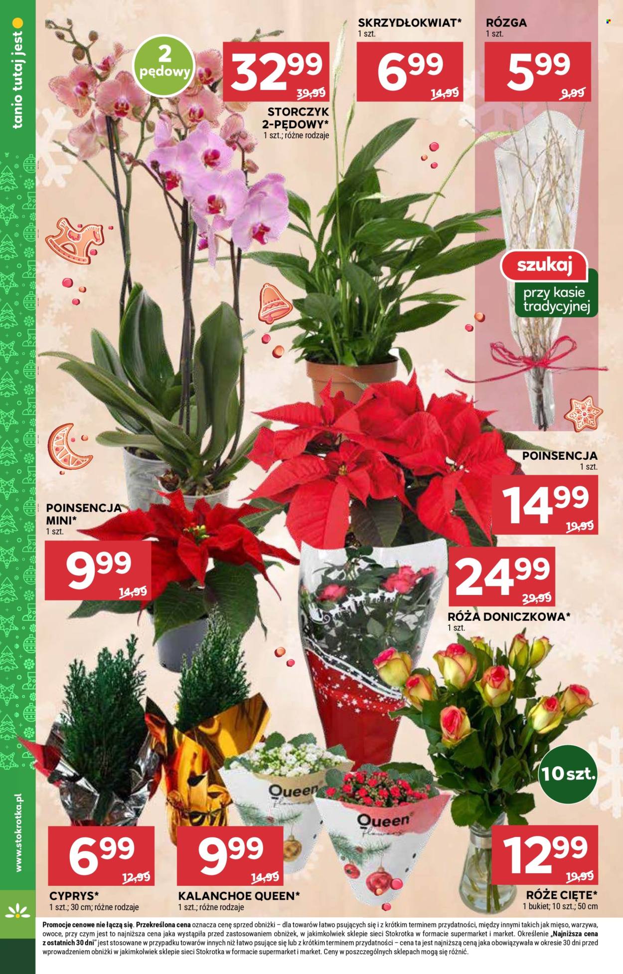 Leták Stokrotka Market - 5.12.2024 - 11.12.2024. Strana 10