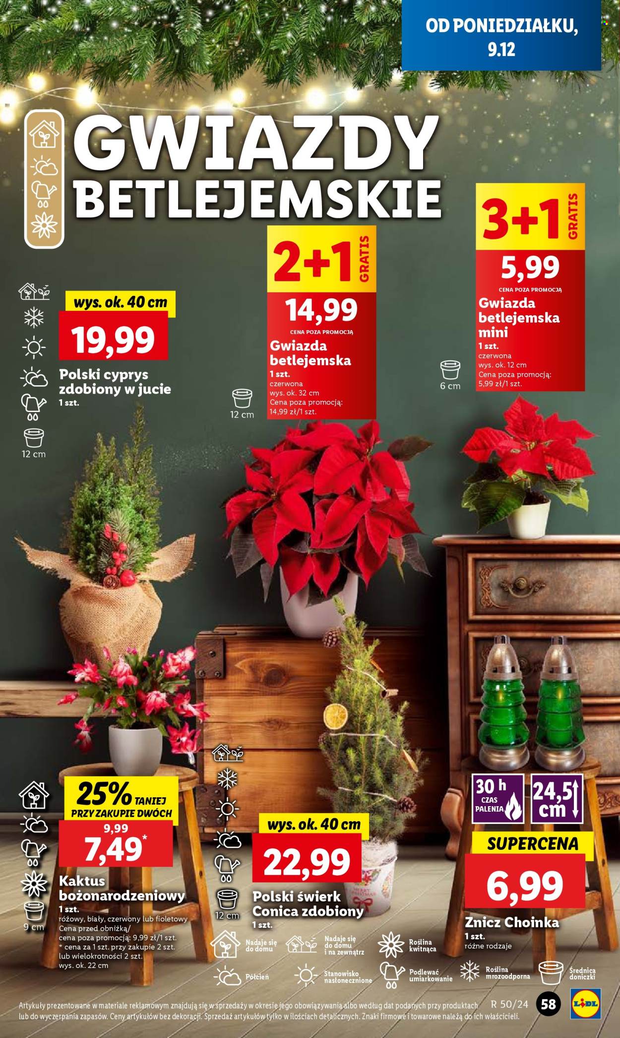 Gazetka Lidl - 9.12.2024 - 11.12.2024. Strona 61