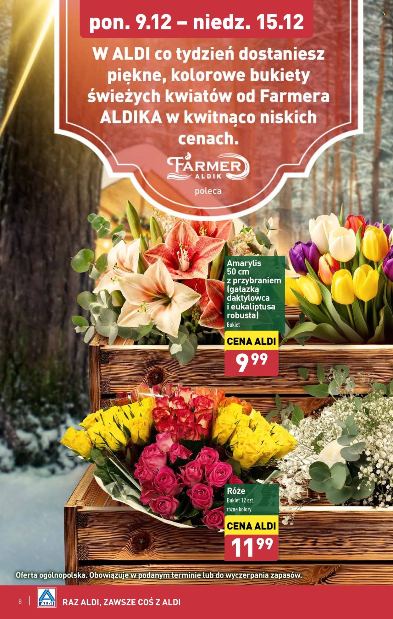 Leták ALDI - 9.12.2024 - 15.12.2024. Strana 8