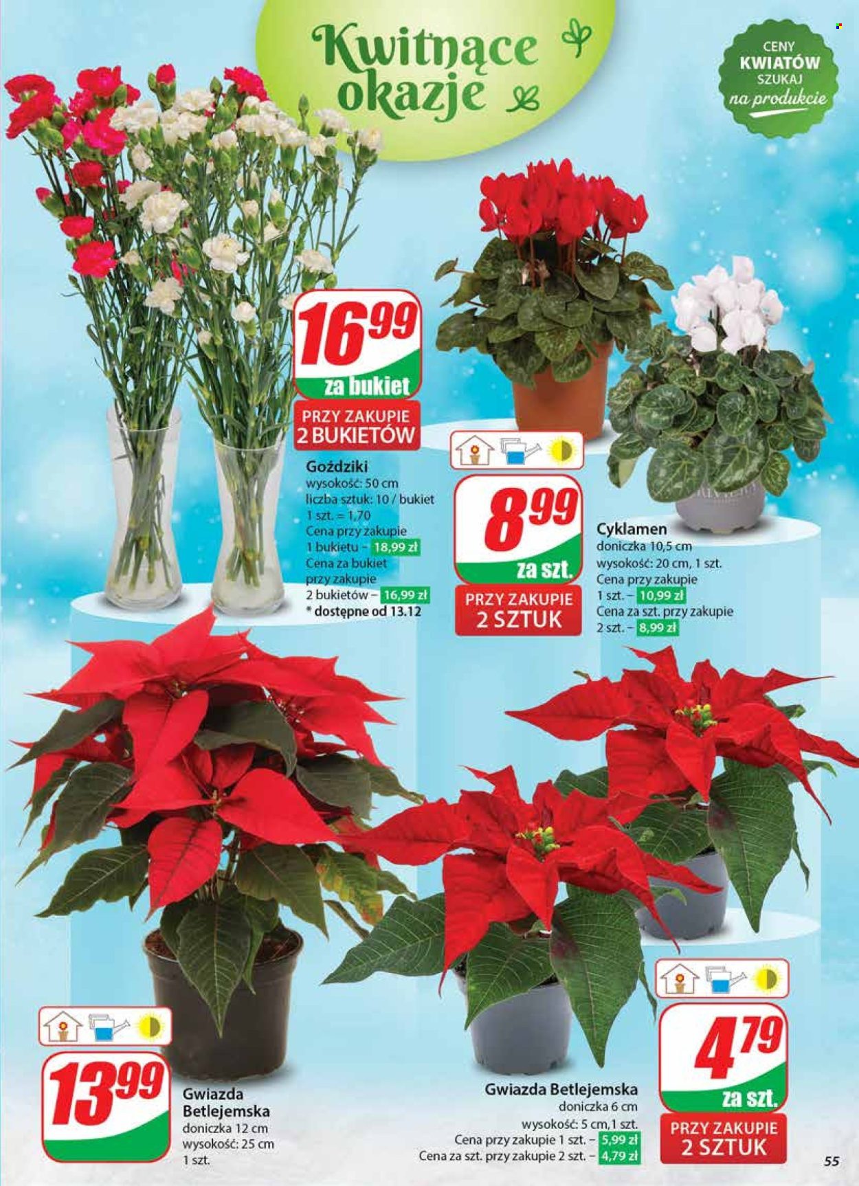 Leták Dino - 11.12.2024 - 17.12.2024. Strana 55
