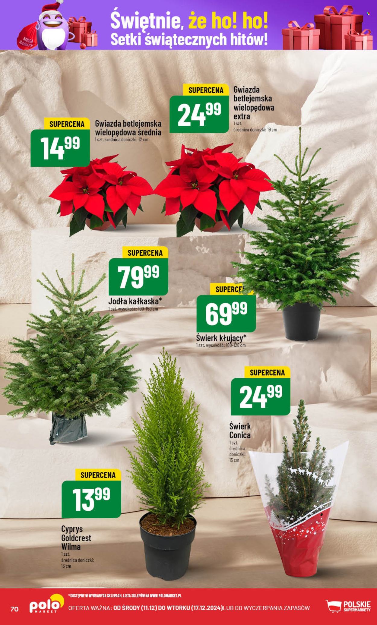 Gazetka Polomarket - 11.12.2024 - 17.12.2024. Strona 70