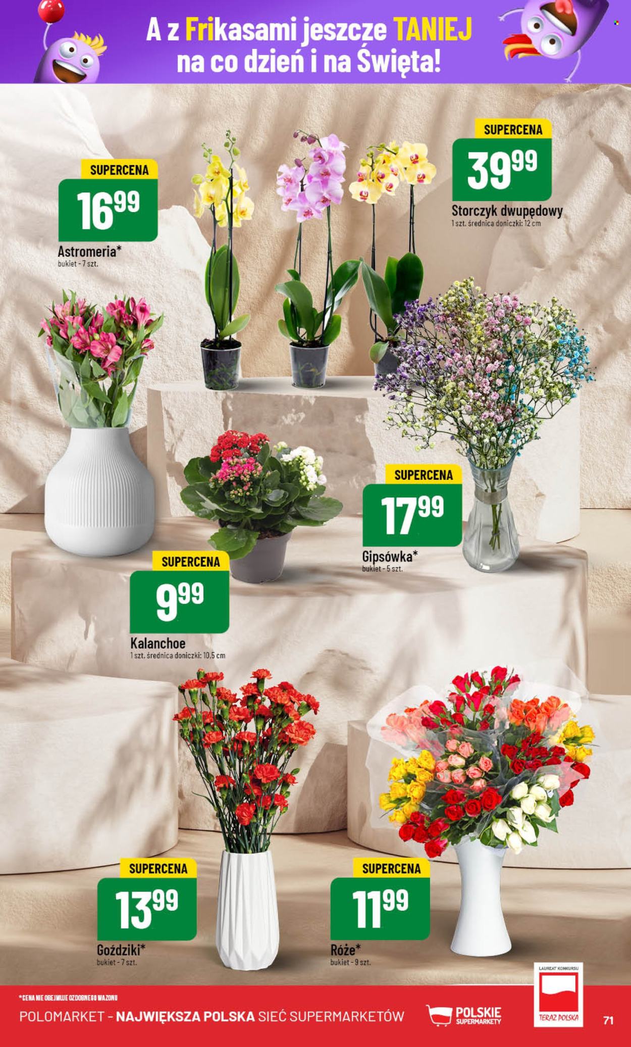 Gazetka Polomarket - 11.12.2024 - 17.12.2024. Strona 71