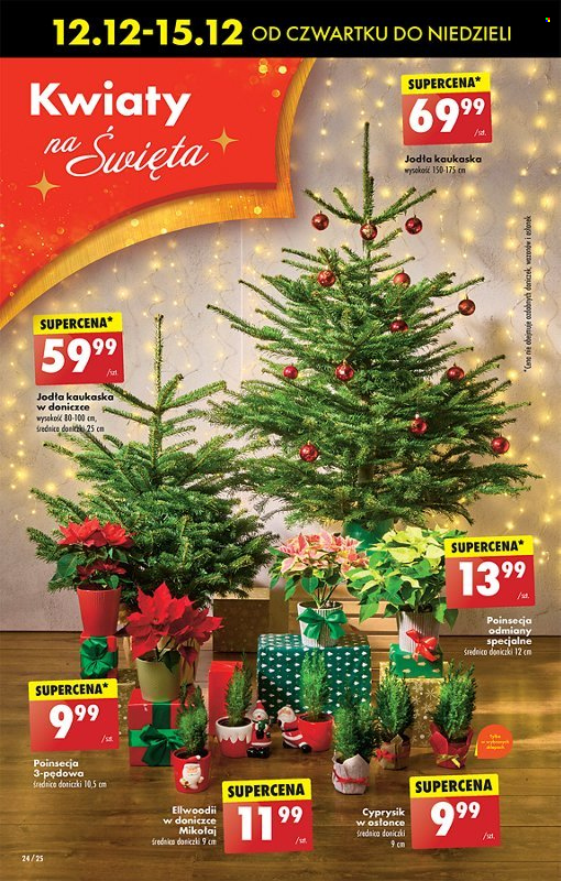 Gazetka Biedronka - 12.12.2024 - 18.12.2024. Strona 24