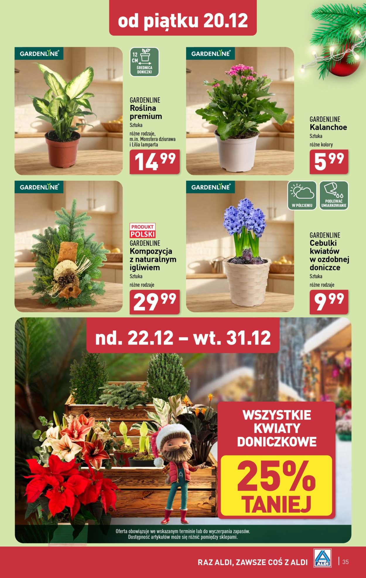 Leták ALDI - 16.12.2024 - 24.12.2024. Strana 35