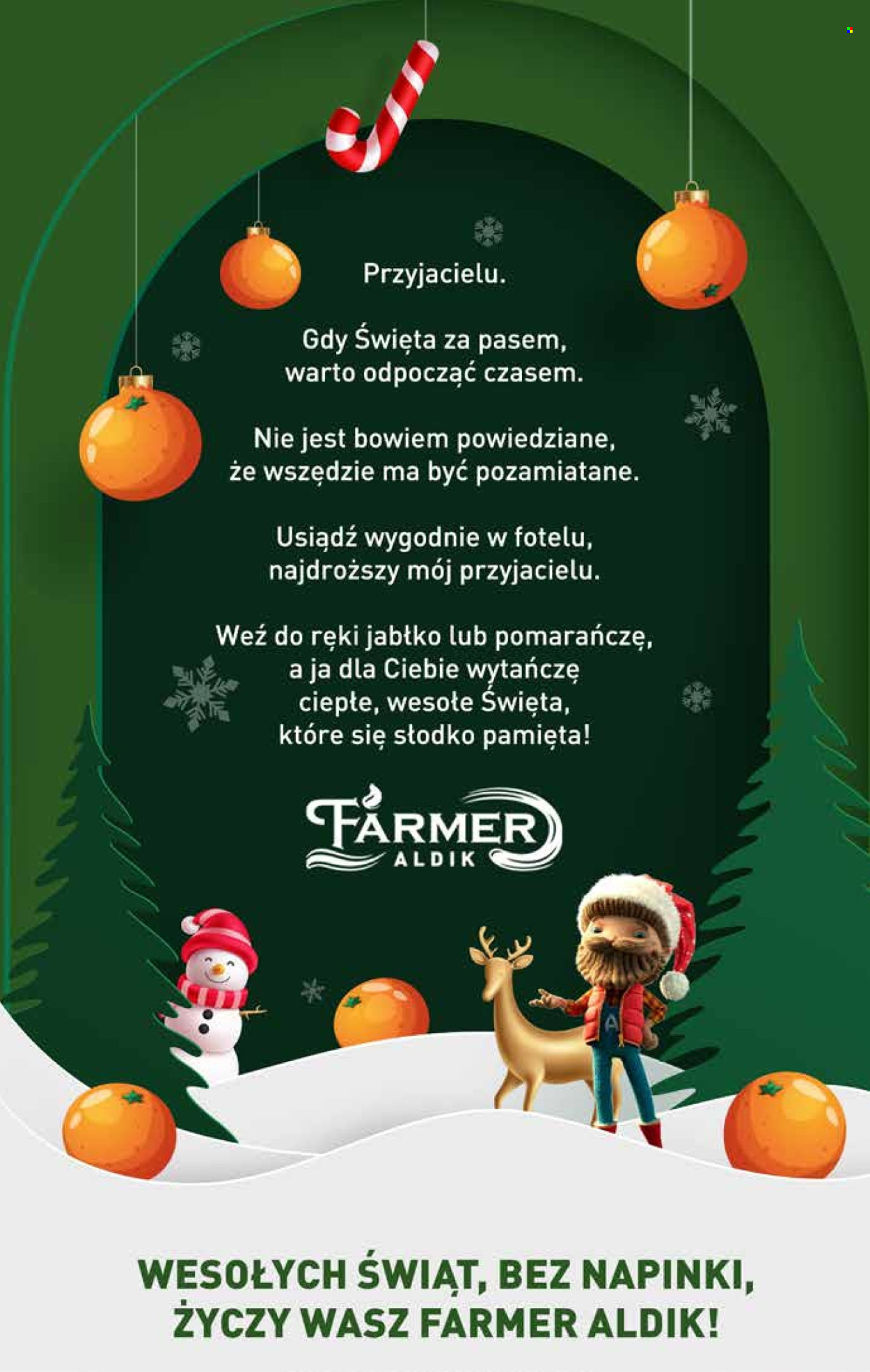 Gazetka ALDI - 16.12.2024 - 24.12.2024. Strona 9