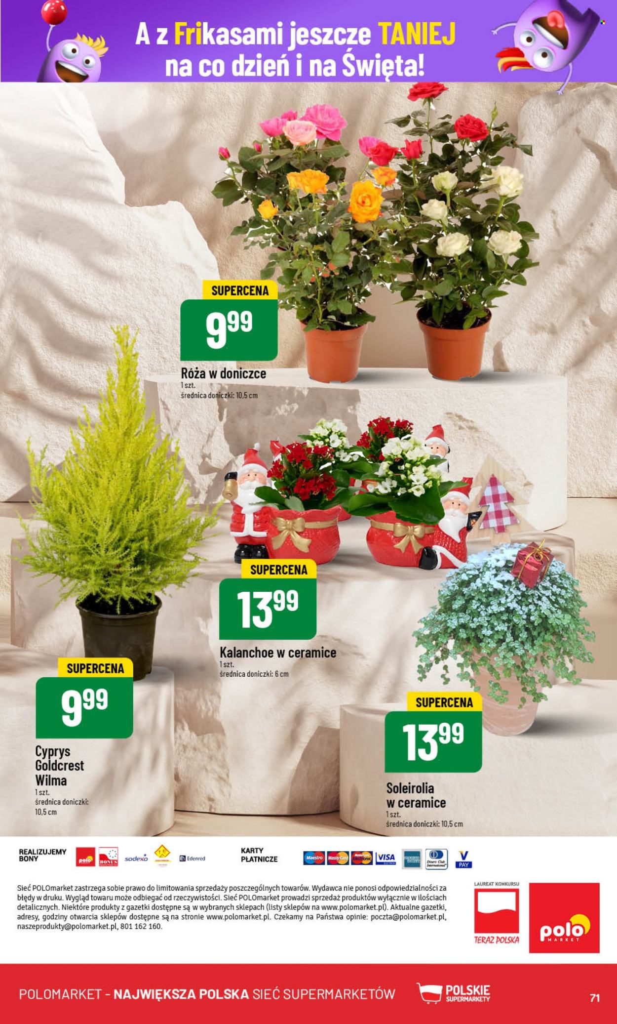 Gazetka Polomarket - 18.12.2024 - 27.12.2024. Strona 71