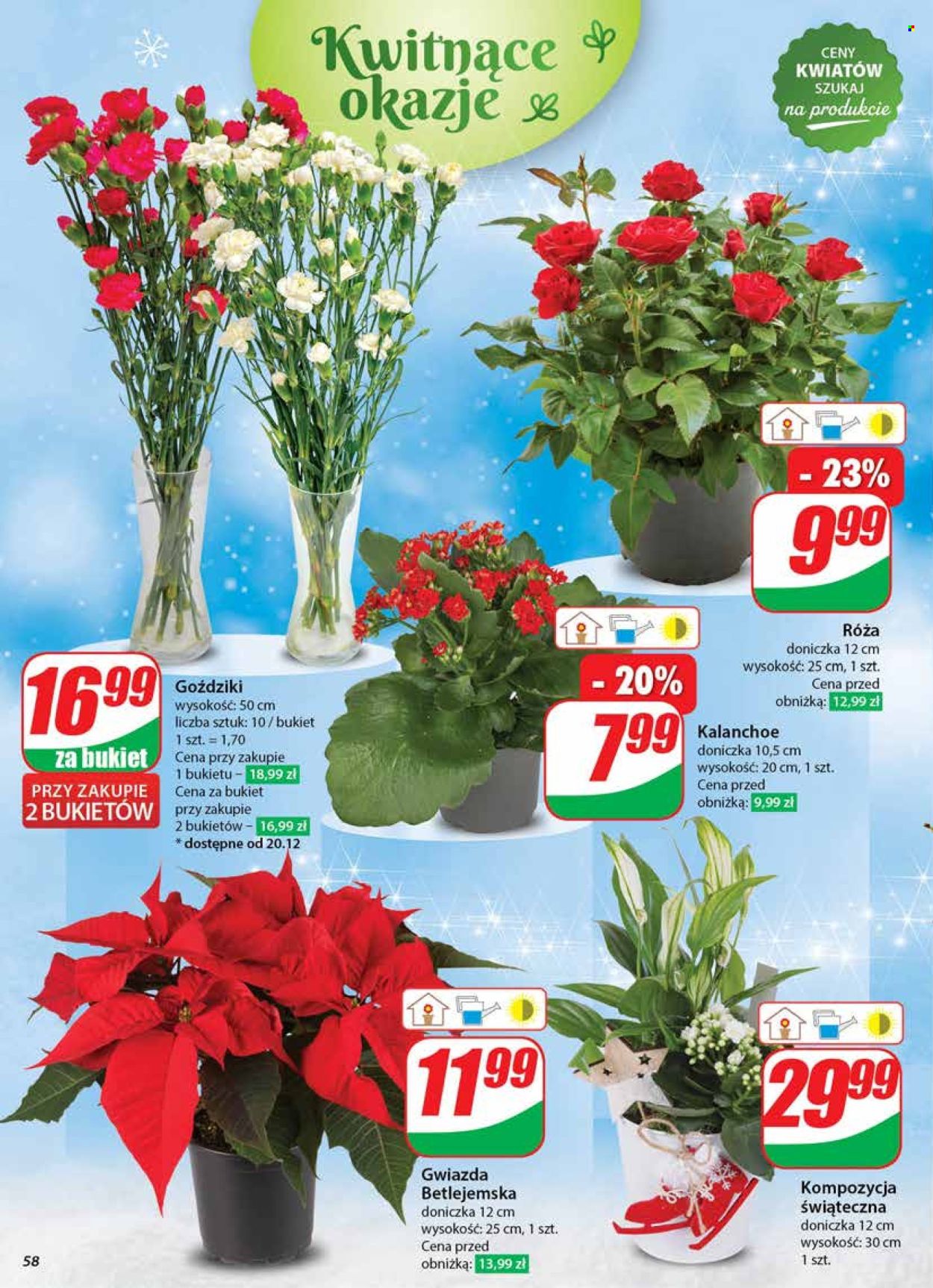 Leták Dino - 18.12.2024 - 24.12.2024. Strana 58
