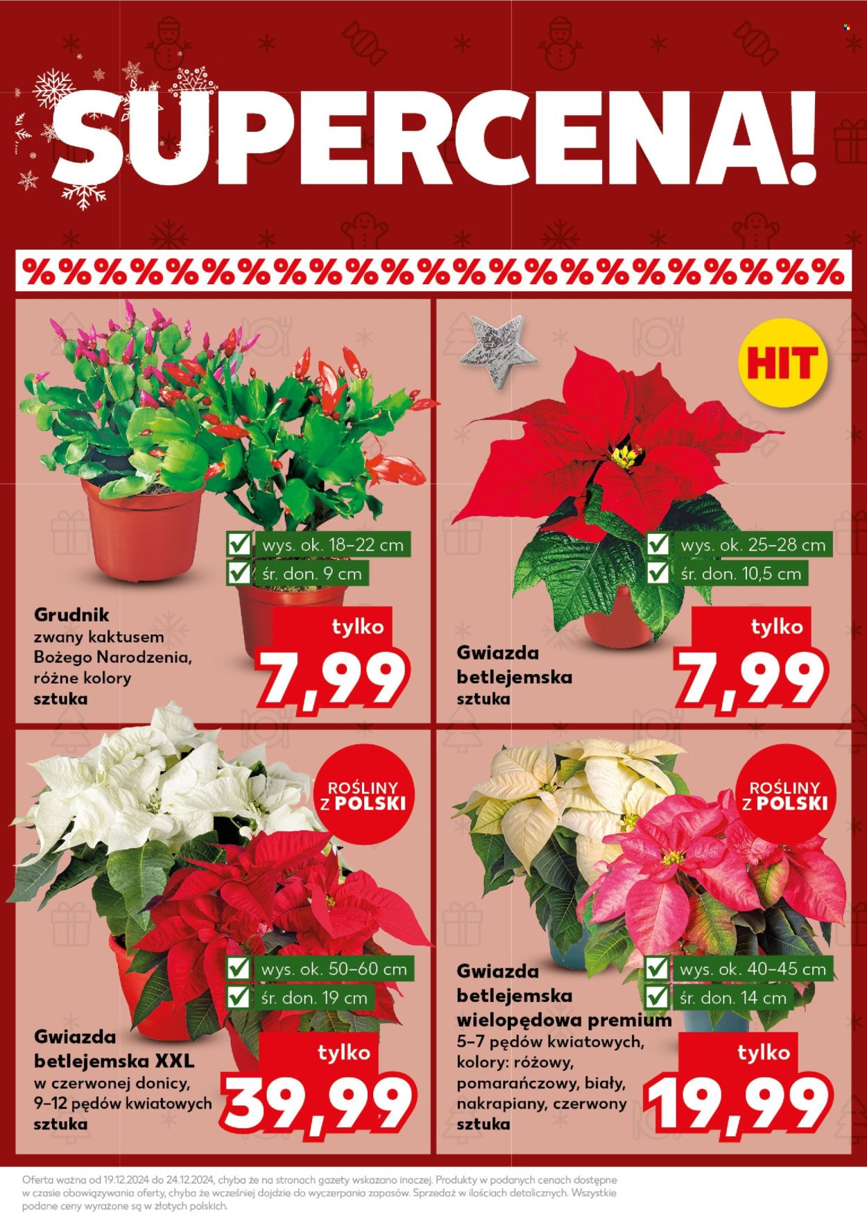 Leták Kaufland - 23.12.2024 - 24.12.2024. Strana 15