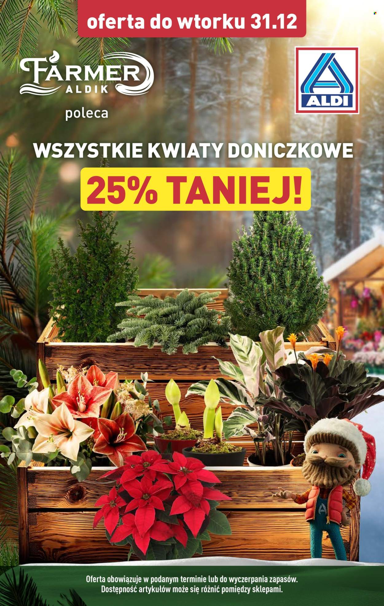 Gazetka ALDI - 27.12.2024 - 4.01.2025. Strona 9