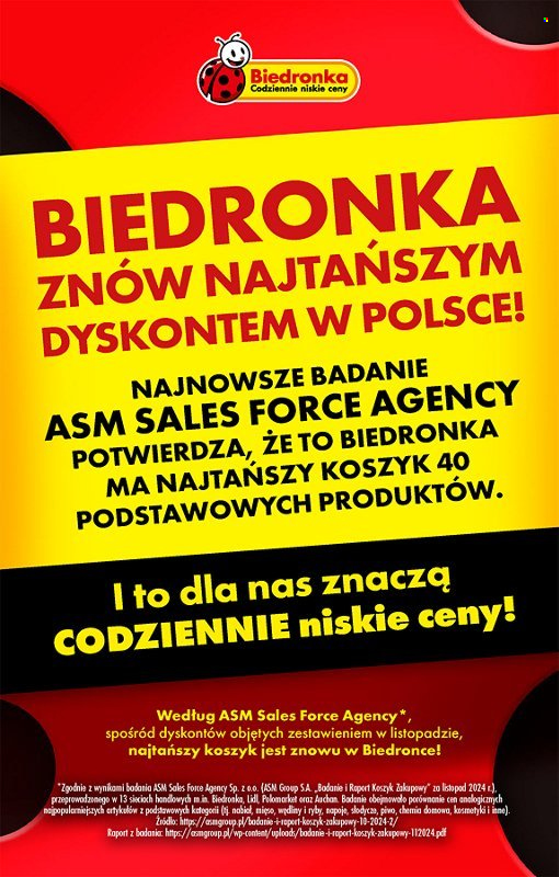 Gazetka Biedronka - 22.12.2024 - 28.12.2024. Strona 17