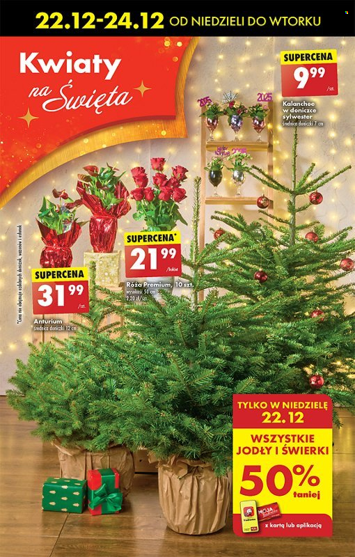 Gazetka Biedronka - 22.12.2024 - 28.12.2024. Strona 21