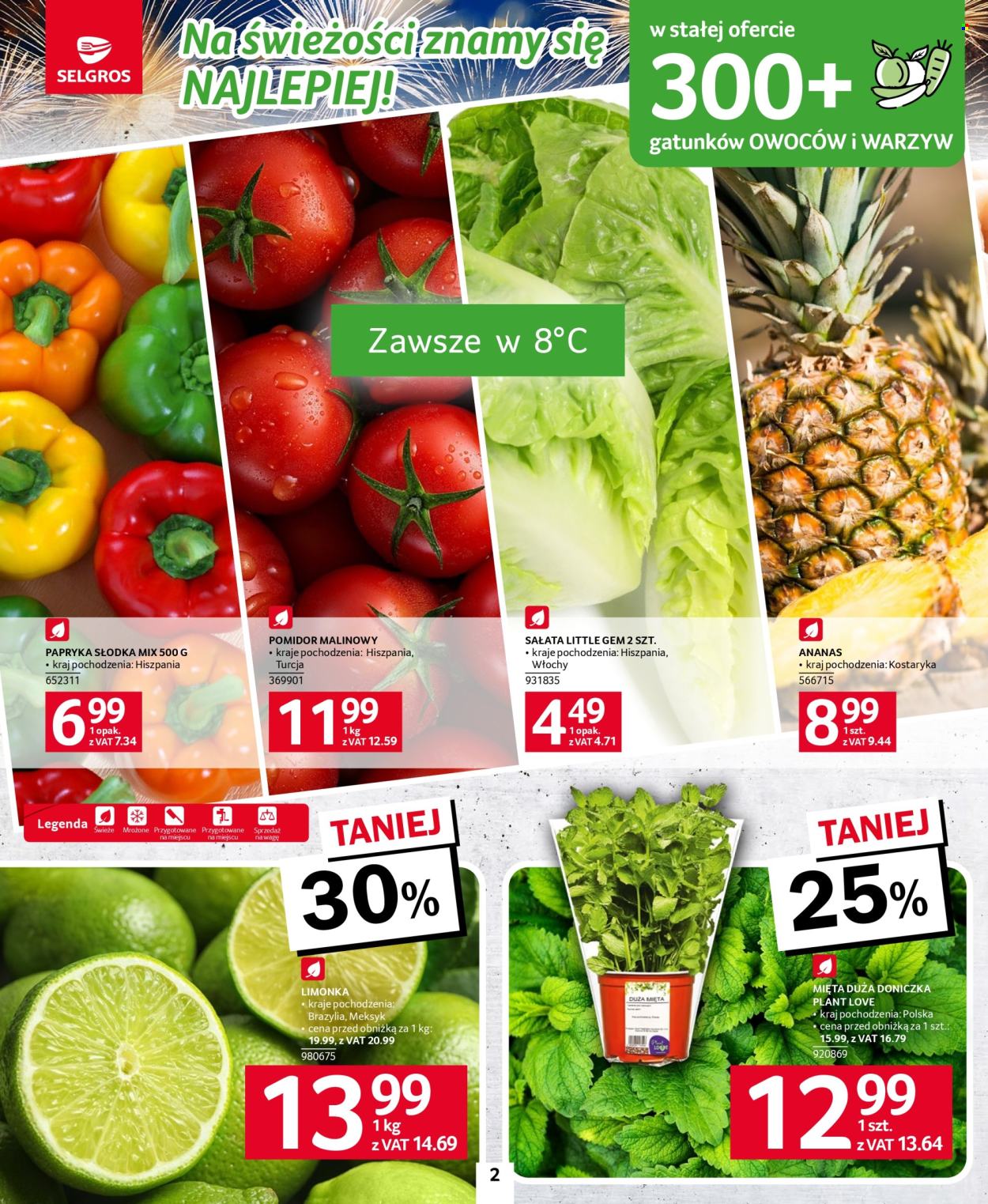 Gazetka Selgros - 27.12.2024 - 31.12.2024. Strona 2