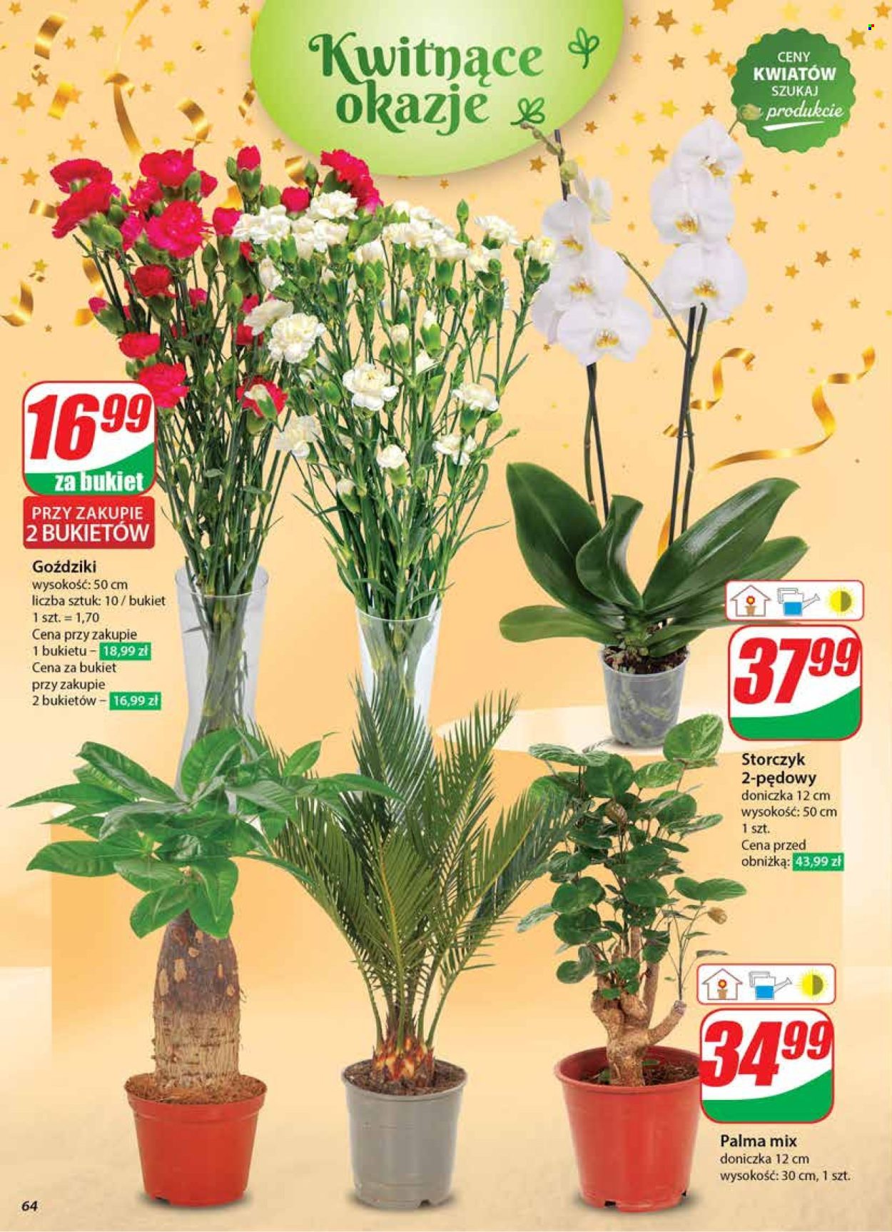 Leták Dino - 27.12.2024 - 31.12.2024. Strana 64