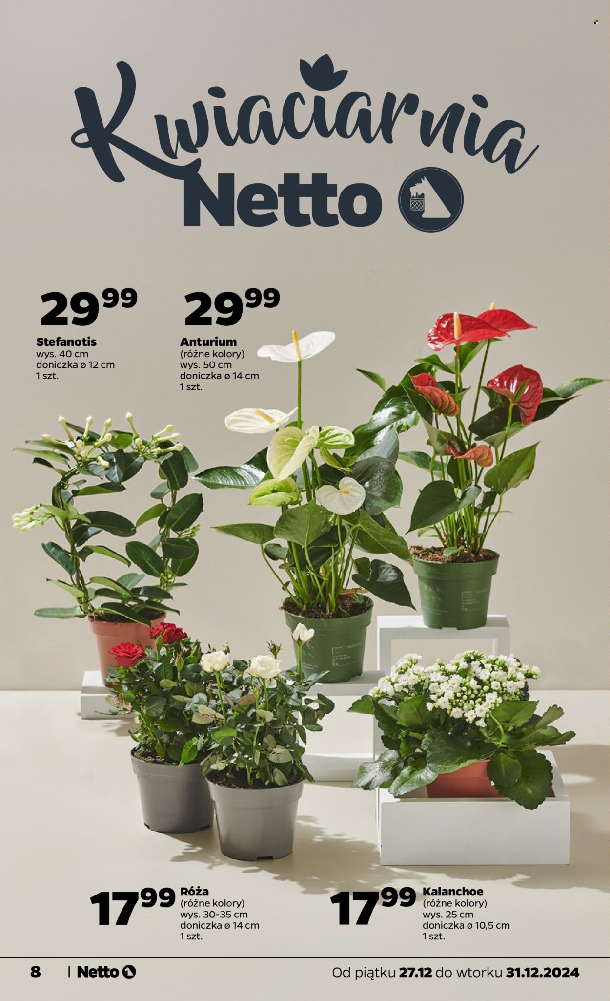 Leták Netto - 27.12.2024 - 31.12.2024. Strana 8
