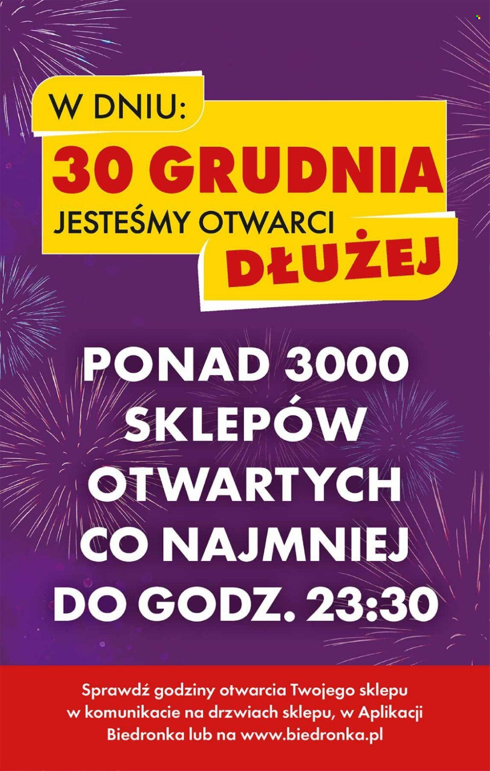 Gazetka Biedronka - 30.12.2024 - 4.01.2025. Strona 67
