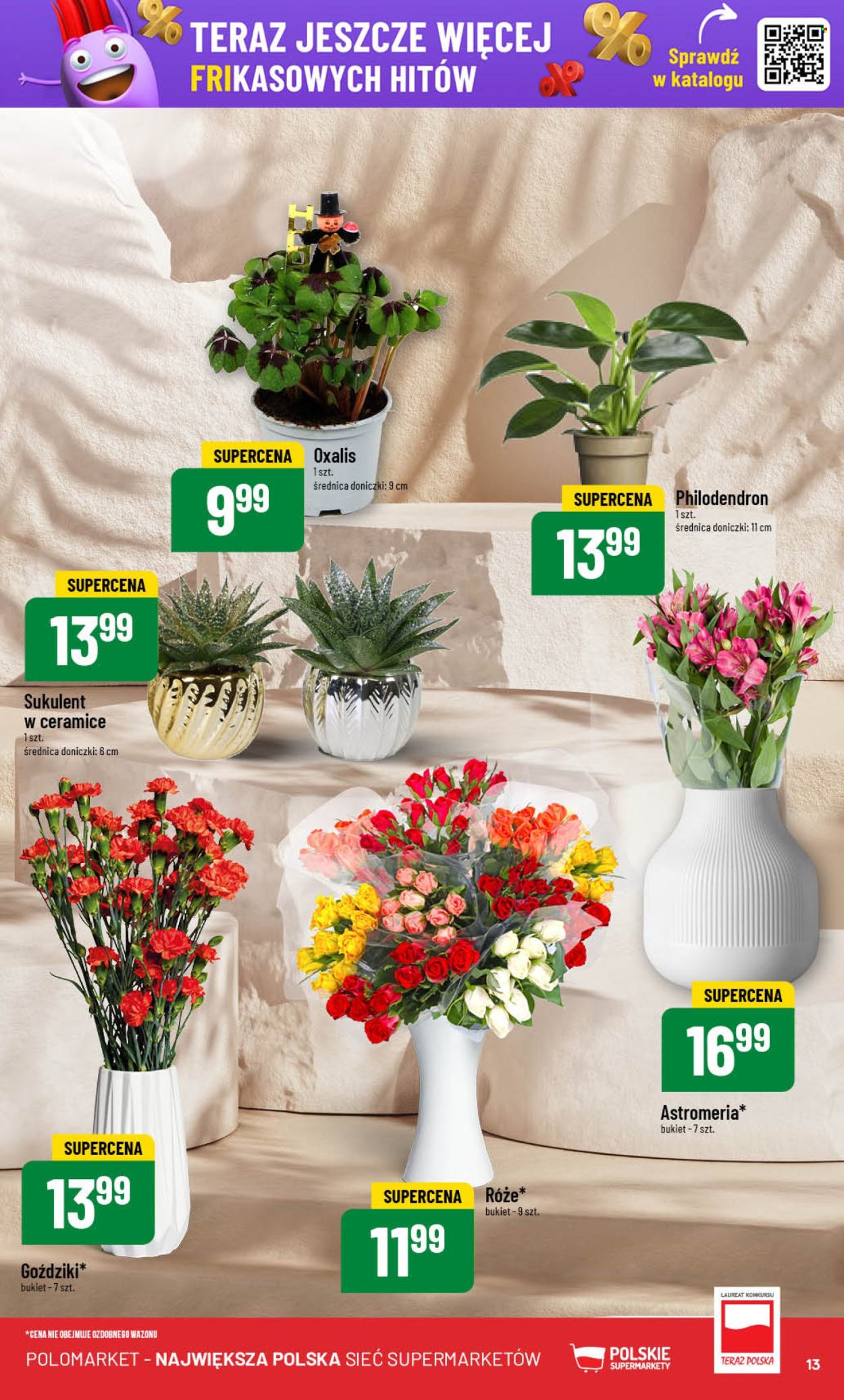 Gazetka Polomarket - 2.01.2025 - 7.01.2025. Strona 13