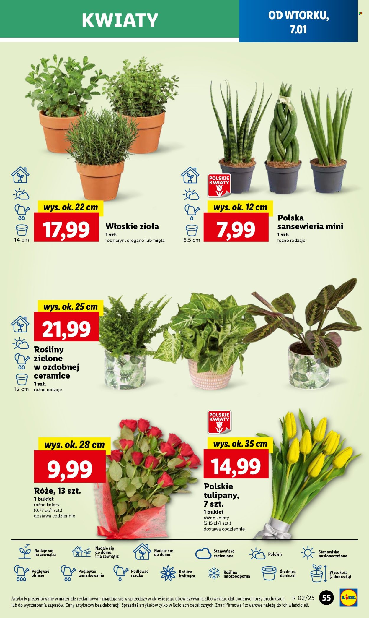 Leták Lidl - 7.1.2025 - 8.1.2025. Strana 61