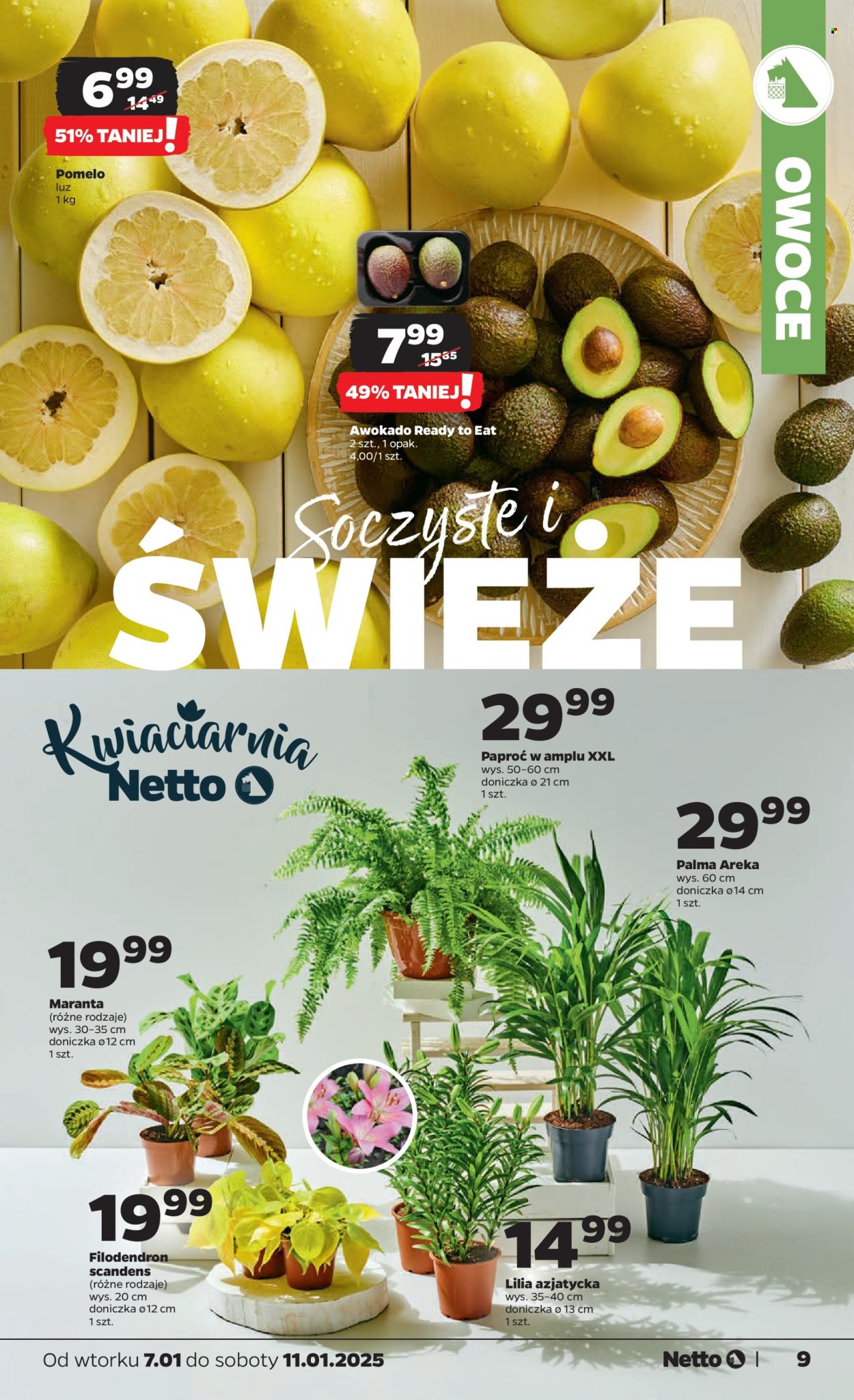 Leták Netto - 7.1.2025 - 11.1.2025. Strana 9