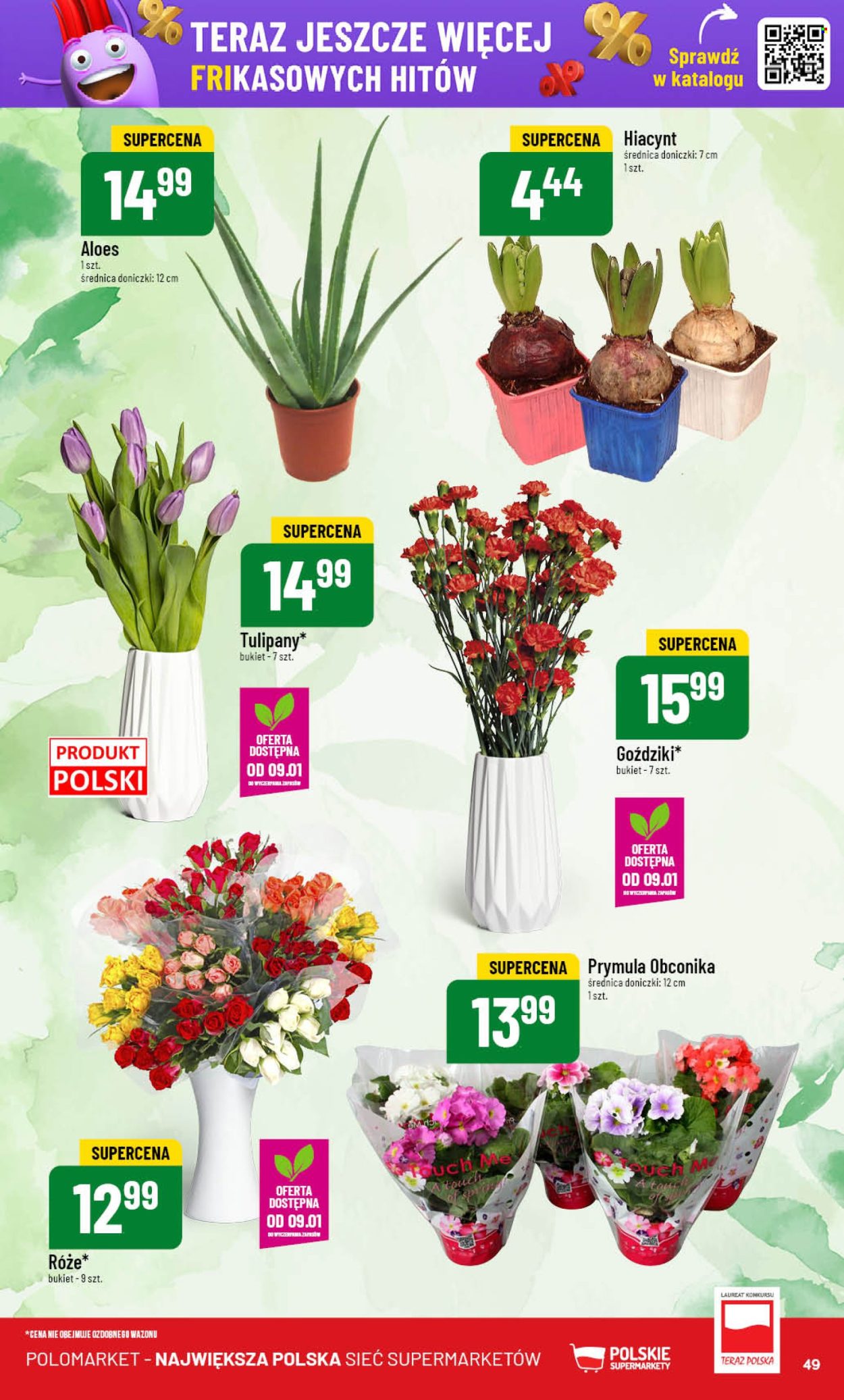 Gazetka Polomarket - 8.01.2025 - 14.01.2025. Strona 49
