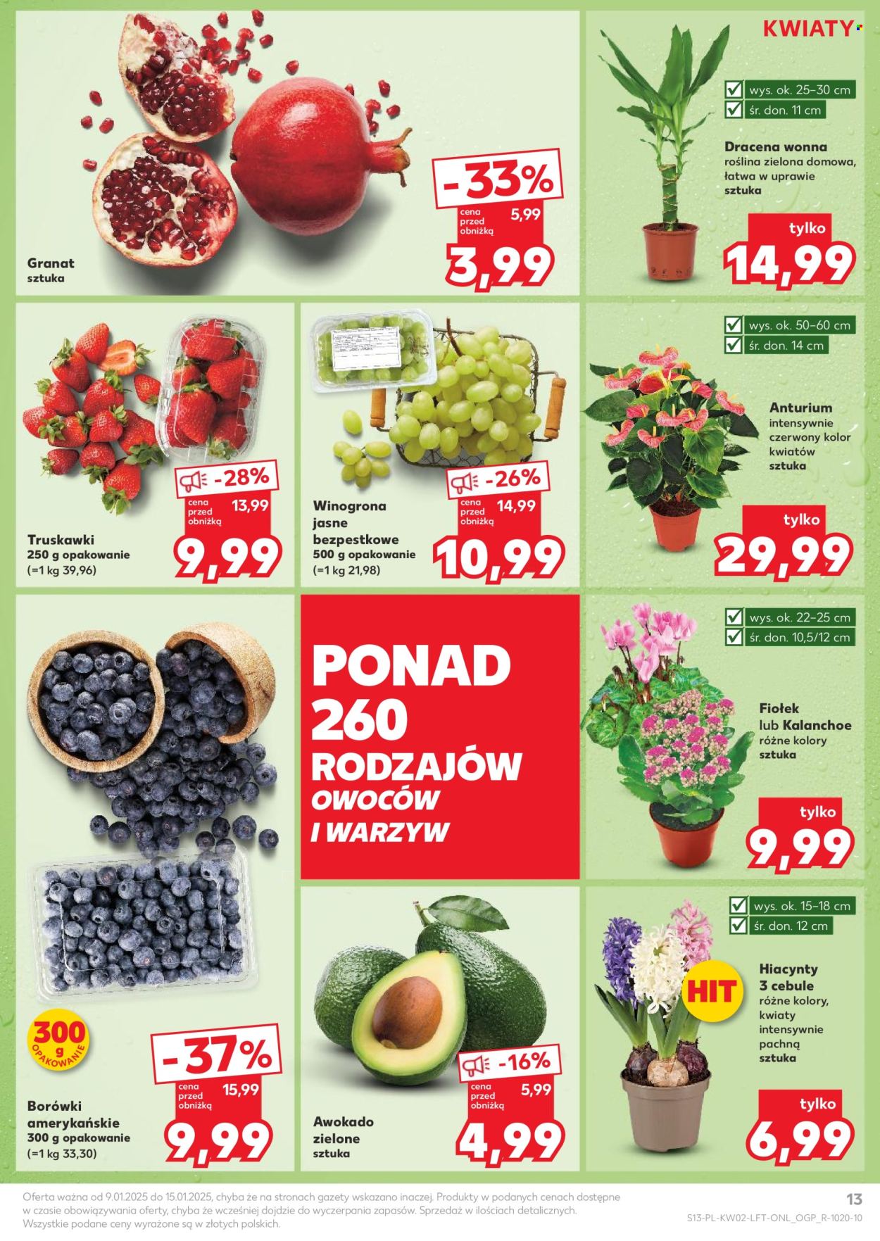 Gazetka Kaufland - 9.01.2025 - 15.01.2025. Strona 13