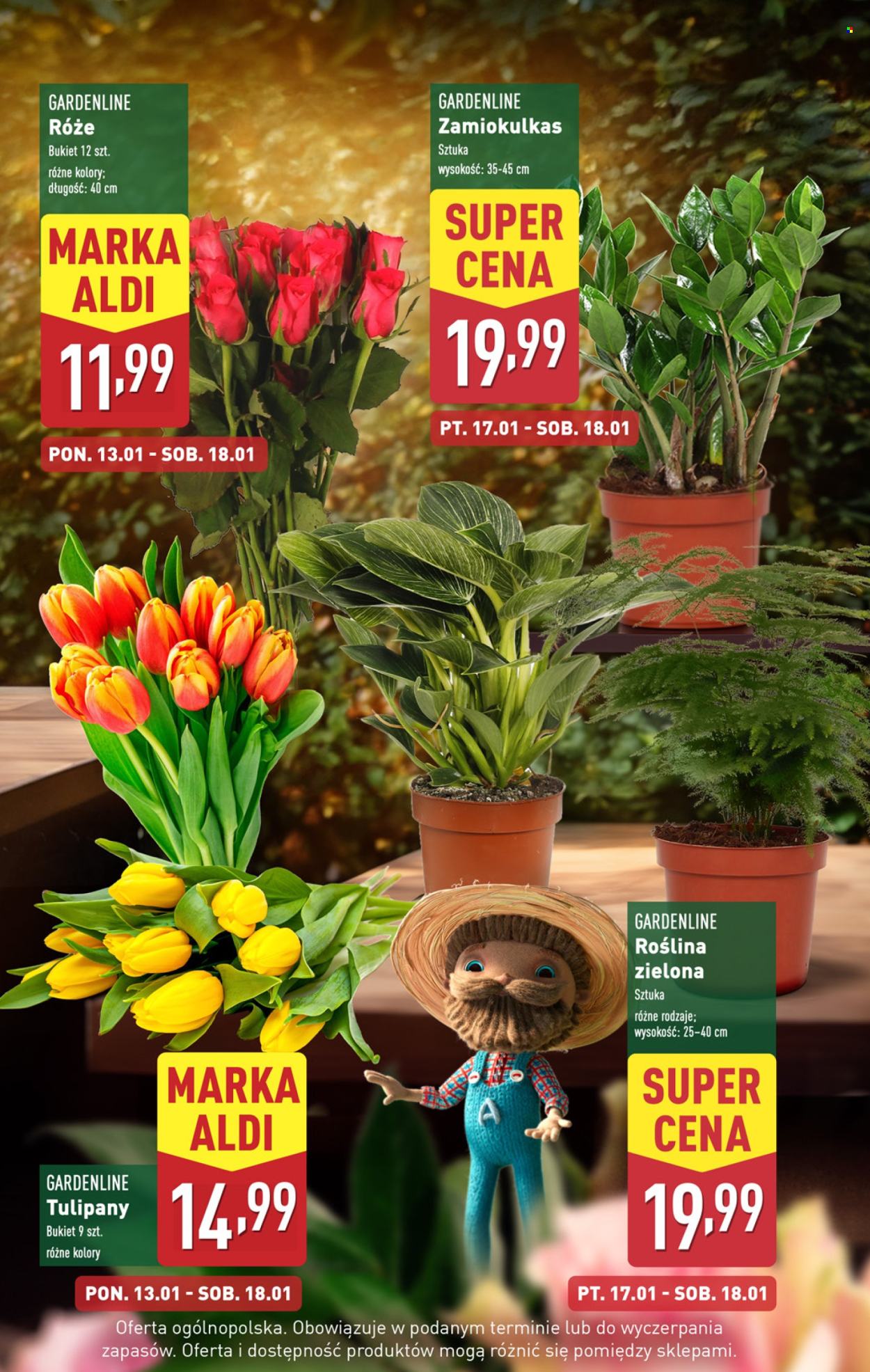 Gazetka ALDI - 13.01.2025 - 18.01.2025. Strona 5