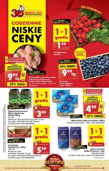 Gazetka Biedronka - 9.01.2025 - 15.01.2025.