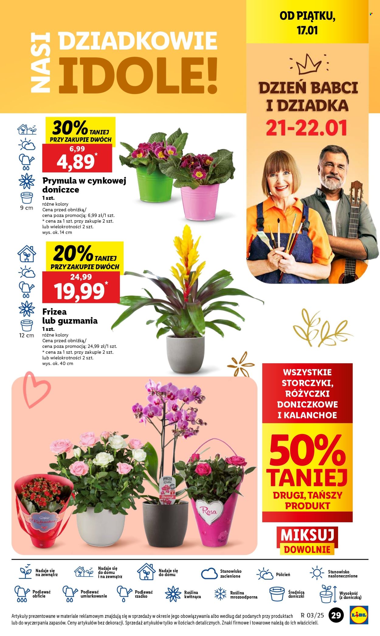 Gazetka Lidl - 16.01.2025 - 18.01.2025. Strona 31