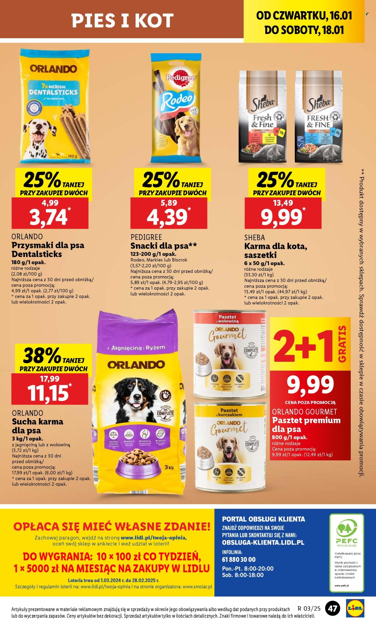 Gazetka Lidl - 16.01.2025 - 18.01.2025. Strona 51