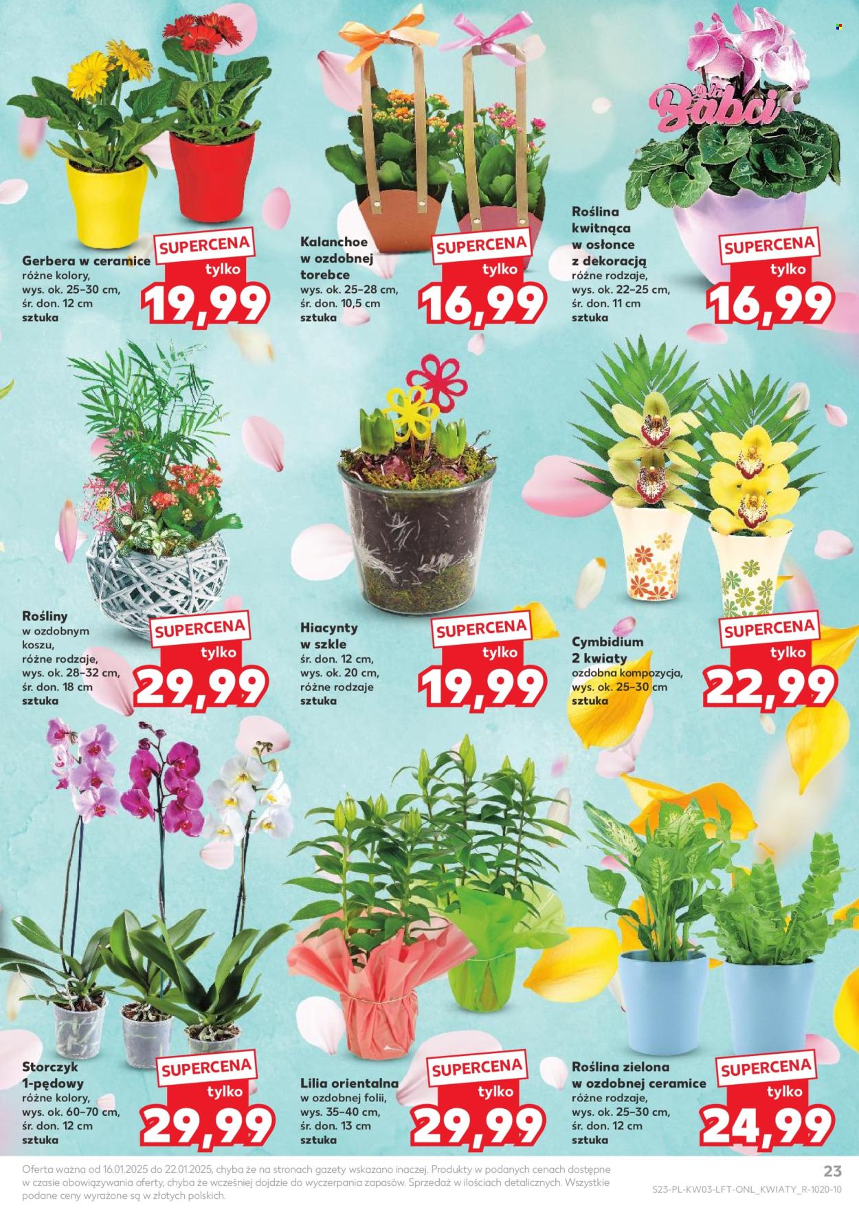 Gazetka Kaufland - 16.01.2025 - 22.01.2025. Strona 23