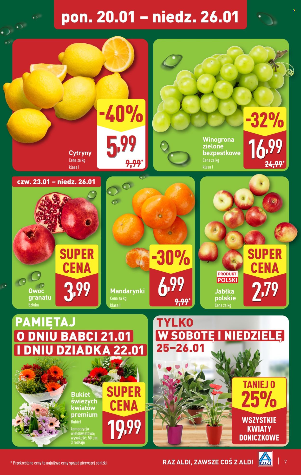 Gazetka ALDI - 20.01.2025 - 26.01.2025. Strona 7