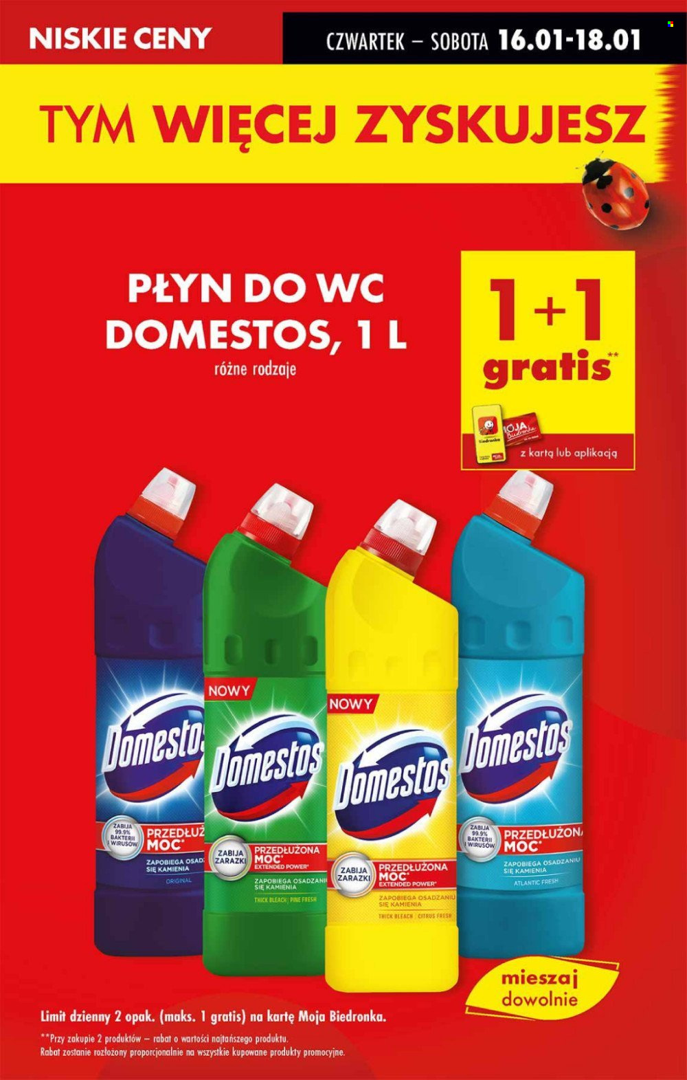 Gazetka Biedronka - 16.01.2025 - 22.01.2025. Strona 11